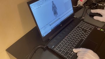 Cascadeur - How to move around in the viewport?