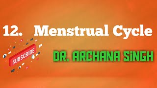 12. Menstrual Cycle