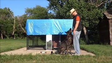 Pam Johnson: Video #5 - Pivots (Food & Toy Rewards)