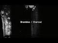 Brambles - To Speak of Solitude