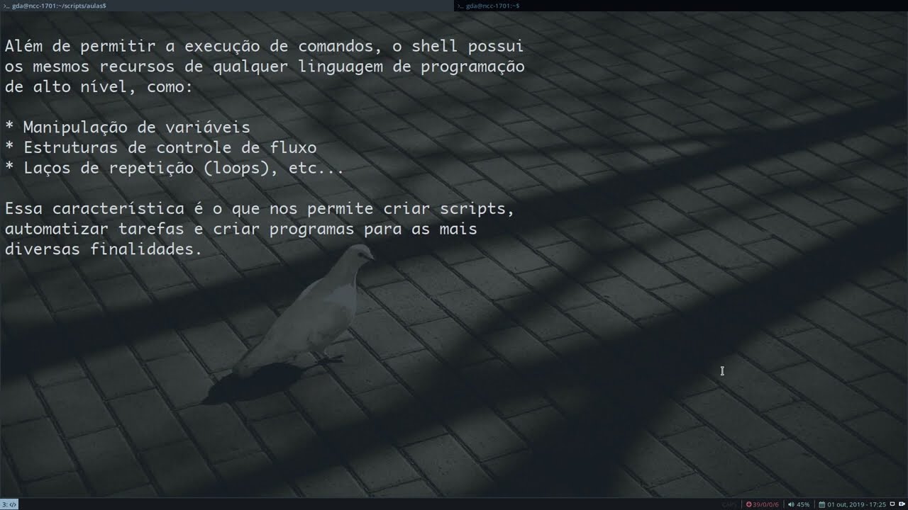 Curso básico de programação em Bash - 01 - Conceitos basicos - LINUX