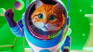 Little Kitten Adventure ALL Funny Cute cat Videos | Animals for kids | Baby Сartoons for kids 0+