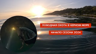 Подводная охота Черное море. Сочи 23 мая 2024