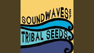 In Your Eyes - Tribal Seeds