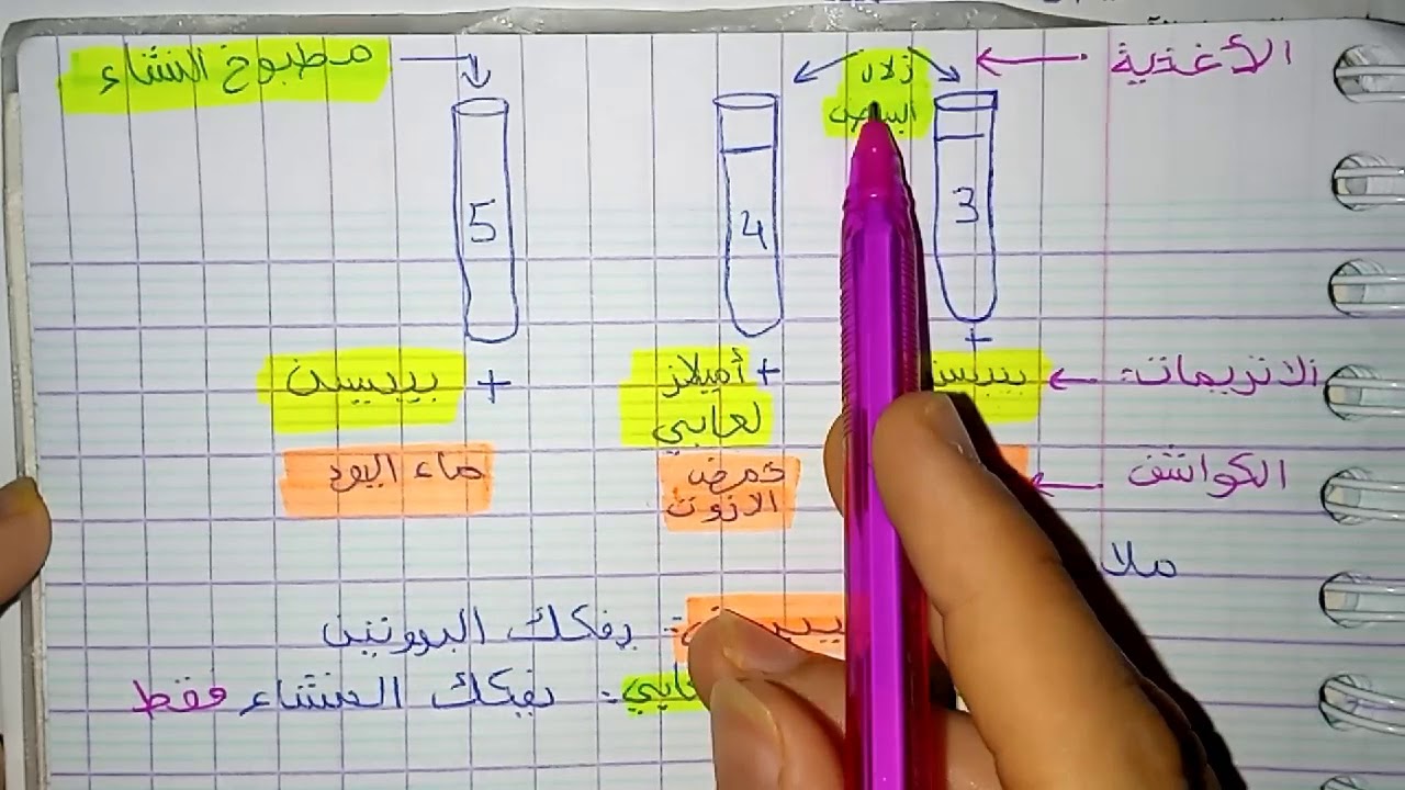 خاصية الانزيم ؟ 🤨 { الجزء #2  النشاط 3 : المعنى البيولوجي للهضم} BEM 2020