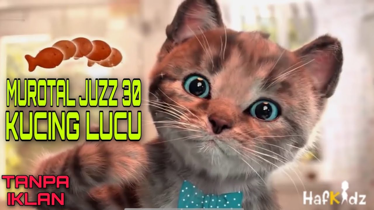 MUROTTAL ANAK JUZZ 30 METODE UMMI - ANIMASI KUCING MUROTTAL ANAK JUZZ 30 METODE UMMI - ANIMASI KUCING