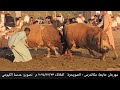 العيناوي و الثعبان مهرجان حايط مکاندرس الصويحرة ٢١ 