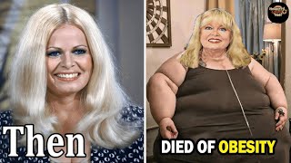 Download Lagu 13 Beloved All in the Family Actors Who Tragically Passed Away MP3