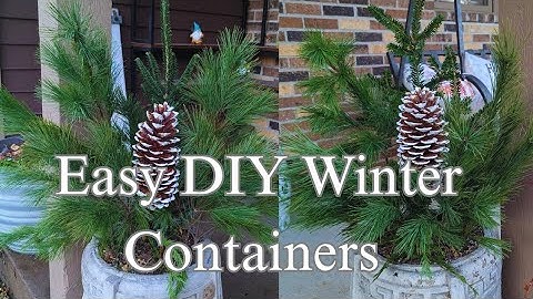How to Make Simple Winter Planters Very Easily!❄️ 🌿 🎄 DIY Winter Containers 