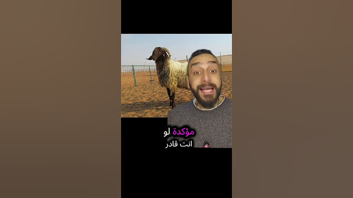 المغرب تمنع الاضحية في عيد الاضحى #ملك_المزاج #تعالى #المغرب #عيد_الاضحى #خروف_العيد