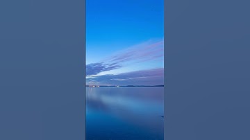 💥"Surround Yourself With A Supportive Network."💥|👉 Videos For You 👍| #shorts