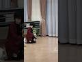 ねぇさんはカメラマンしてるからね Demonslayer Demonslayercosplay 鬼滅の刃コスプレ ねぇさんはカメラマンしてるからね Demonslayer Demonslayercosplay 鬼滅の刃コスプレ