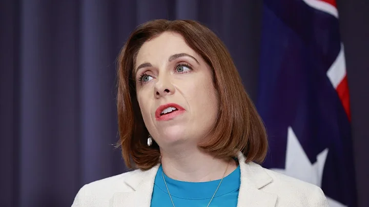 Anika Wells under fire for travel expenses and under-16s social media ban