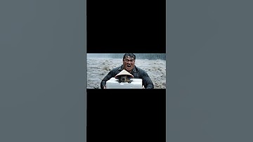 Số 14: Capybara bị bỏ rơi và cái kết ấm lòng người 🥺 #capybara #cauchuyencamdong #longtot #shorts