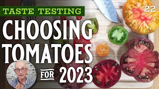 Choosing tomatoes based on taste, for 2023 – I DON'T recommend them all + one is a waste of effort!