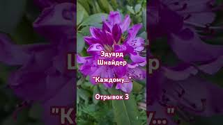 "Каждому..." (отрывок3) Эдуард Шнайдер. Читает: автор. (#стихи/ Книга-5 "Осколки...")#shorts