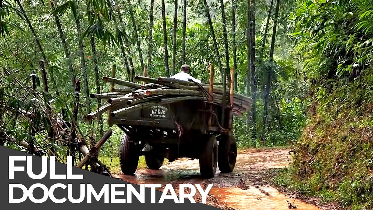 ⁣Deadliest Roads | Vietnam | Free Documentary