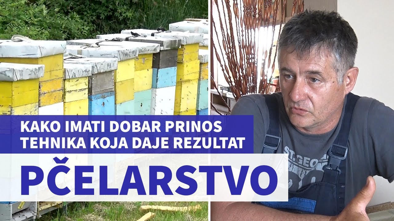 Tehnika pčelarenja koja daje rezultate