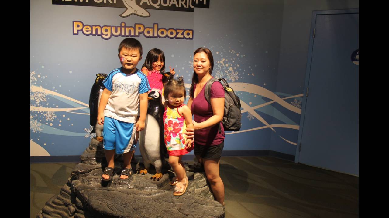 2016 Newport, Kentucky Aquarium 5 28 2016 rev1 YouTube