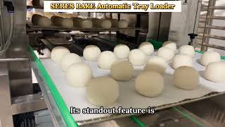 tray loading machine