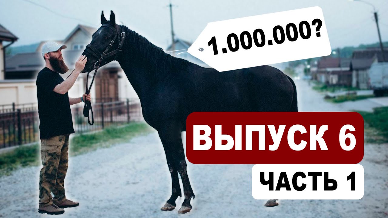 Выпуск 6.1 - ищем лошадей на Кавказе | Подбор | Александр Обжерин