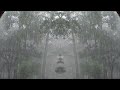Beautiful tropical monsoon rain night sleeping well, calm time relaxing |Rain Best Relaxation