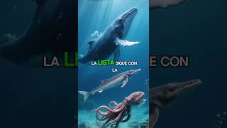 TOP 10 Criaturas Marinas Más LARGAS y Extensas del Océano   Cuerpos que Superan los 50 Metros