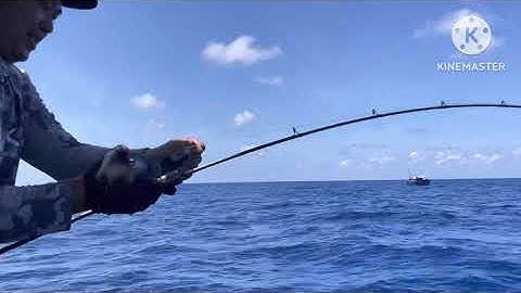 Từ Mũi Cà Mau đi Jig cá Cam Phú Yên vượt gần 900km trải nghiệm cảm giác ở độ sâu 200m!