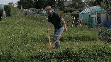 Making a little hay with a Scottish scythe