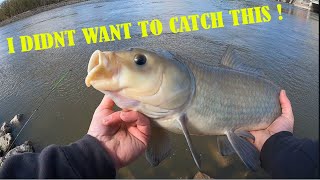 UNEXPECTED catch fishing a MONSTER Hydroelectric DAM!