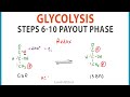 Glycolysis Phase 2 Quiz