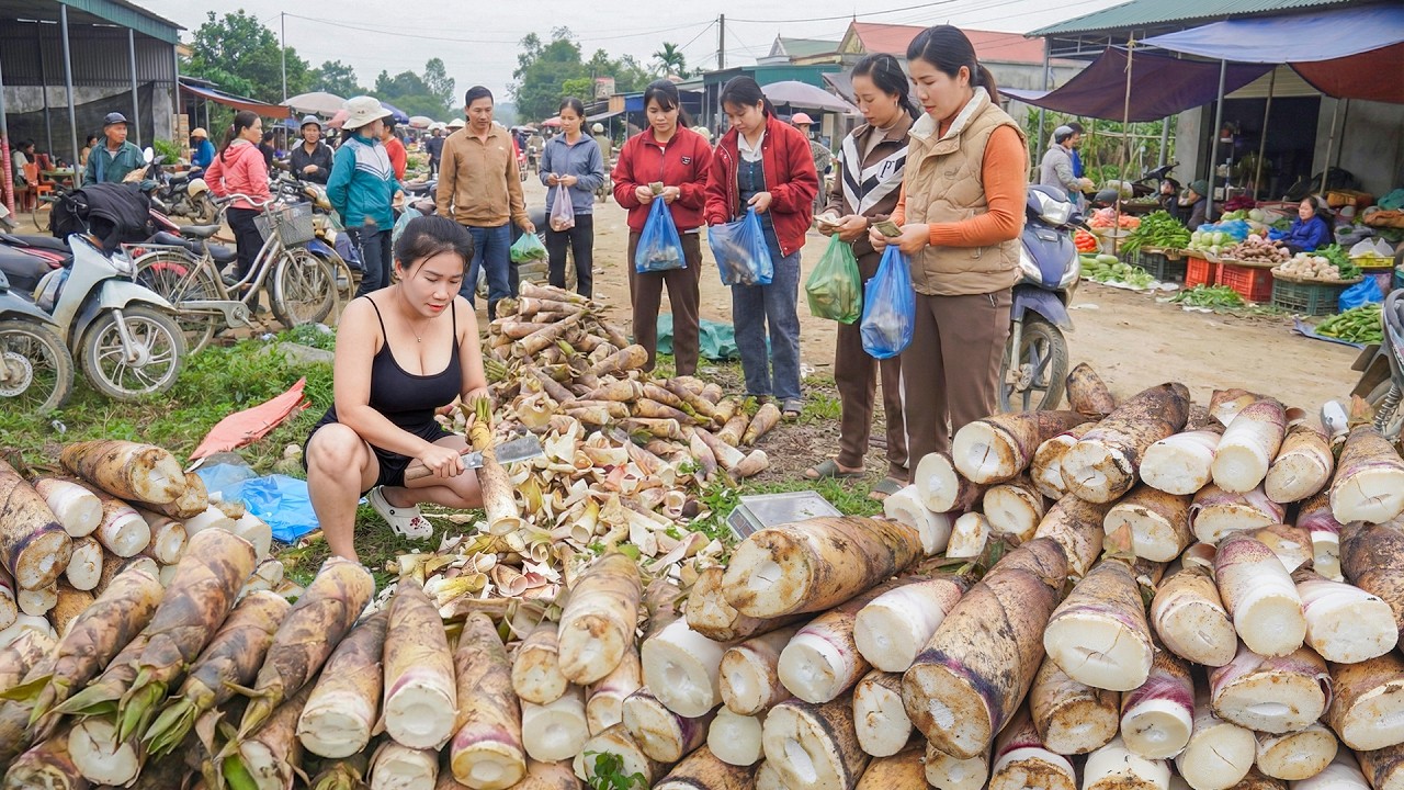 Using Truck To Buy Lots Of Bamboo Shoots from Farmers, Transport Many Bamboo Shoots To Market Sell