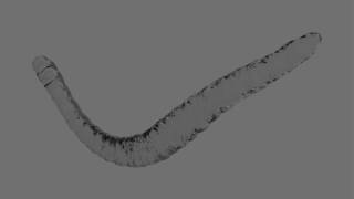 Test4 Realflow - Test daemon spirale