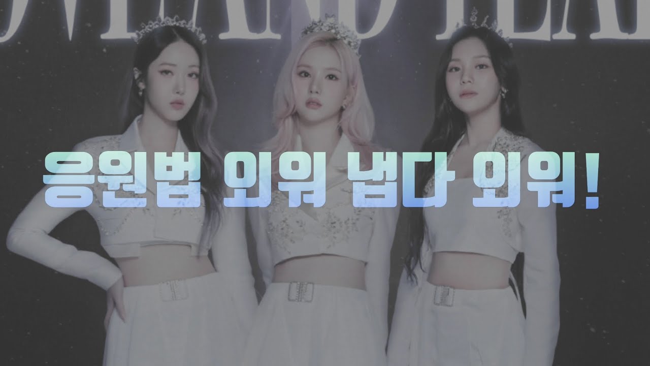 비비지..콘서트...그리고 응원법..♡