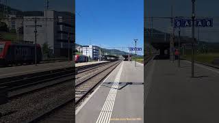 SBB Cargo beim Bahnhof Killwangen-Spreitenbach / Kanton Aargau / Schweiz 2023 / #shorts