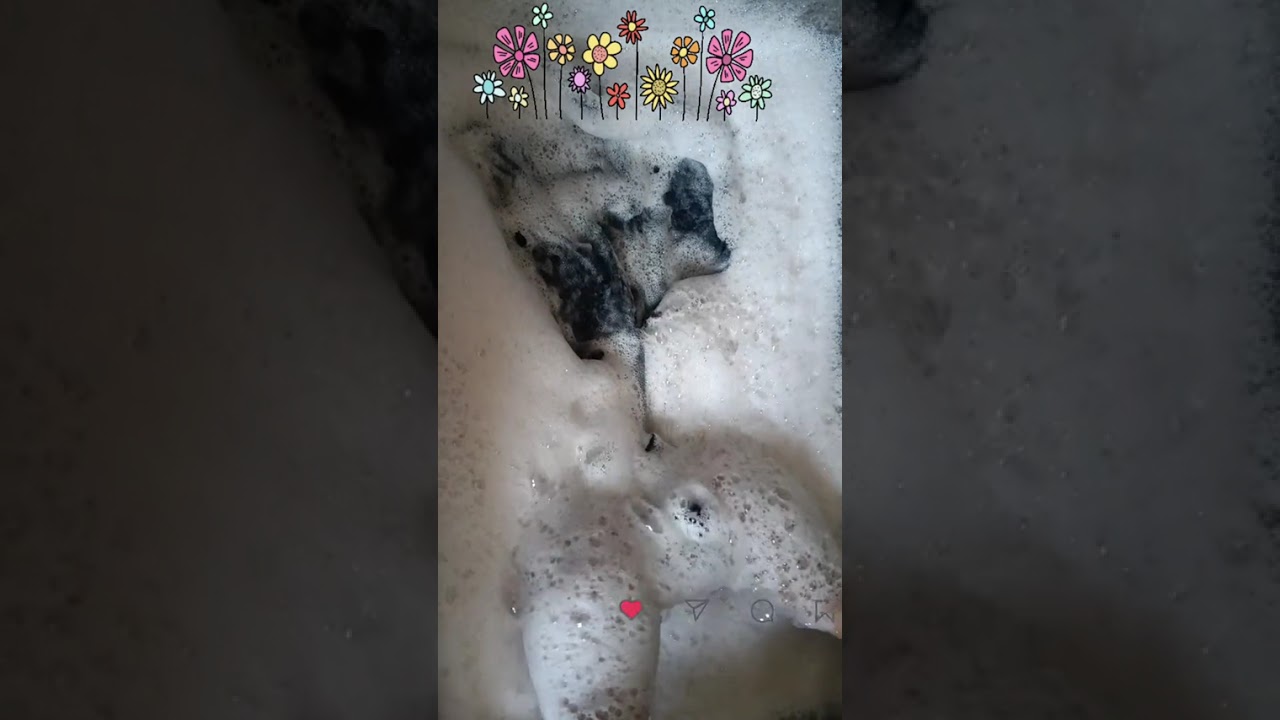 Lavadita con jabón floral intimo 🌸🌸🫧🩷
