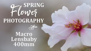 Spring Flower Photography 🌸 Macro, Lensbaby Sol 45, 400mm