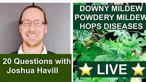 DOWNY MILDEW , POWDERY MILDEW and HOPS DISEASES