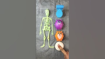 Squishy Skeleton Soft Toys #squish #fidget #popit #squishy #satisfying #toys #colors