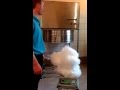 Industrial cotton candy machine TYPHOON. Промышленный аппарат сладкой ваты ТАЙФУН