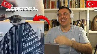 TÜRKLER KEDİLERE İNSAN GİBİ DAVRANIYORLAR (EN İYİ VİDEOLAR) 🇹🇷