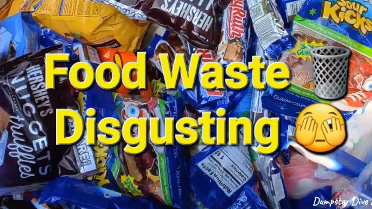 Dumpster diving. Food waste in America 🇺🇸 is disgusting 🫣! YouTube