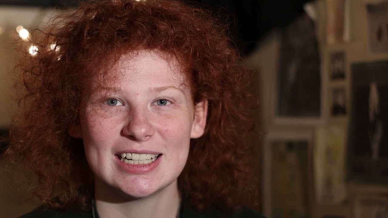 Anna Schneider - MDIA 2800 Final Project