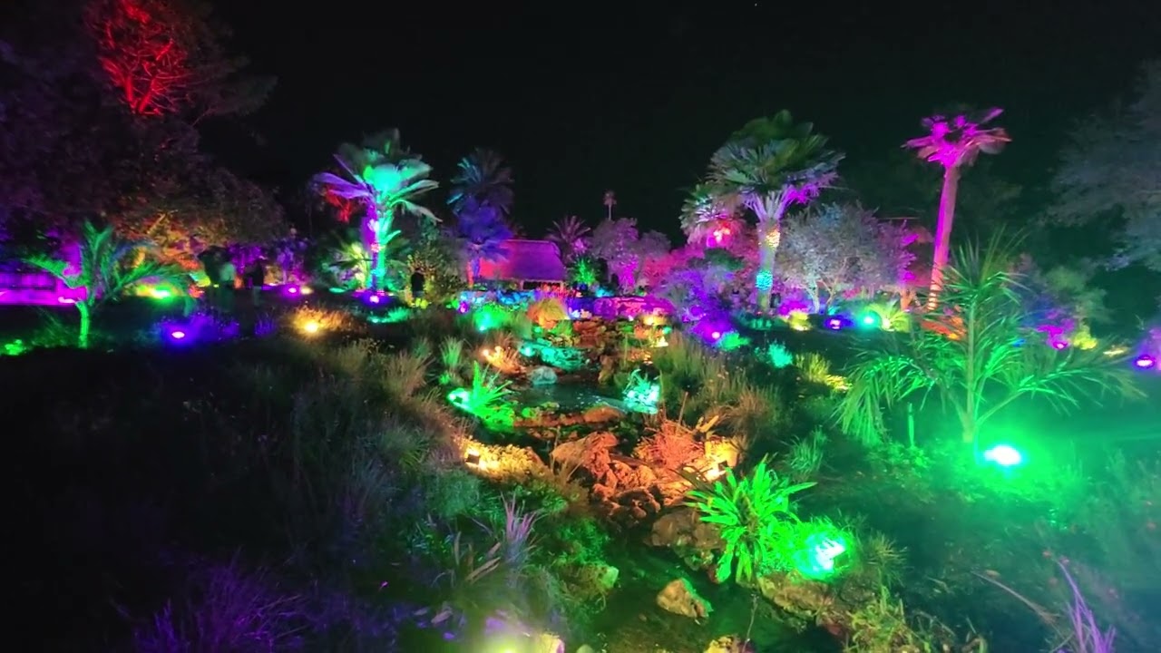 Naples Botanical Gardens Naples Florida.  Christmas light show nighttime. 2026 
