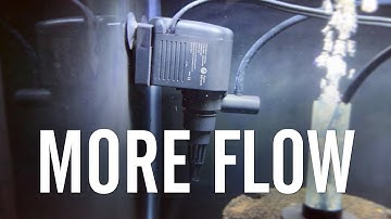 Adding Powerheads for Increased Flow in My Aquariums