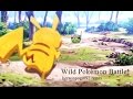 Wild pokmon battle kerwinpogi092 mashup