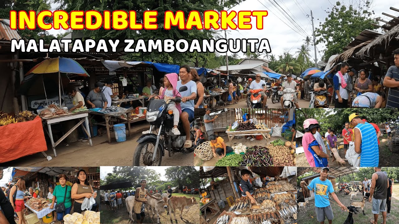 INCREDIBLE Malatapay Market in Zamboanguita, Negros Oriental