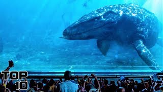 Top 10 Extinct Animals We Shouldn't Bring Back To Life - Part 2 Top 10 Extinct Animals We Shouldn't Bring Back To Life - Part 2