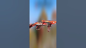 Cobra mp40 Return Confirm Date /cobra mp40 return /Free Fire New Event /FF New Event Today#shorts