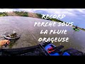 Record perche sous lorage light session